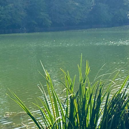 Lac De Lumiere. Relax With Rural Lakeside Living Herry Luaran gambar