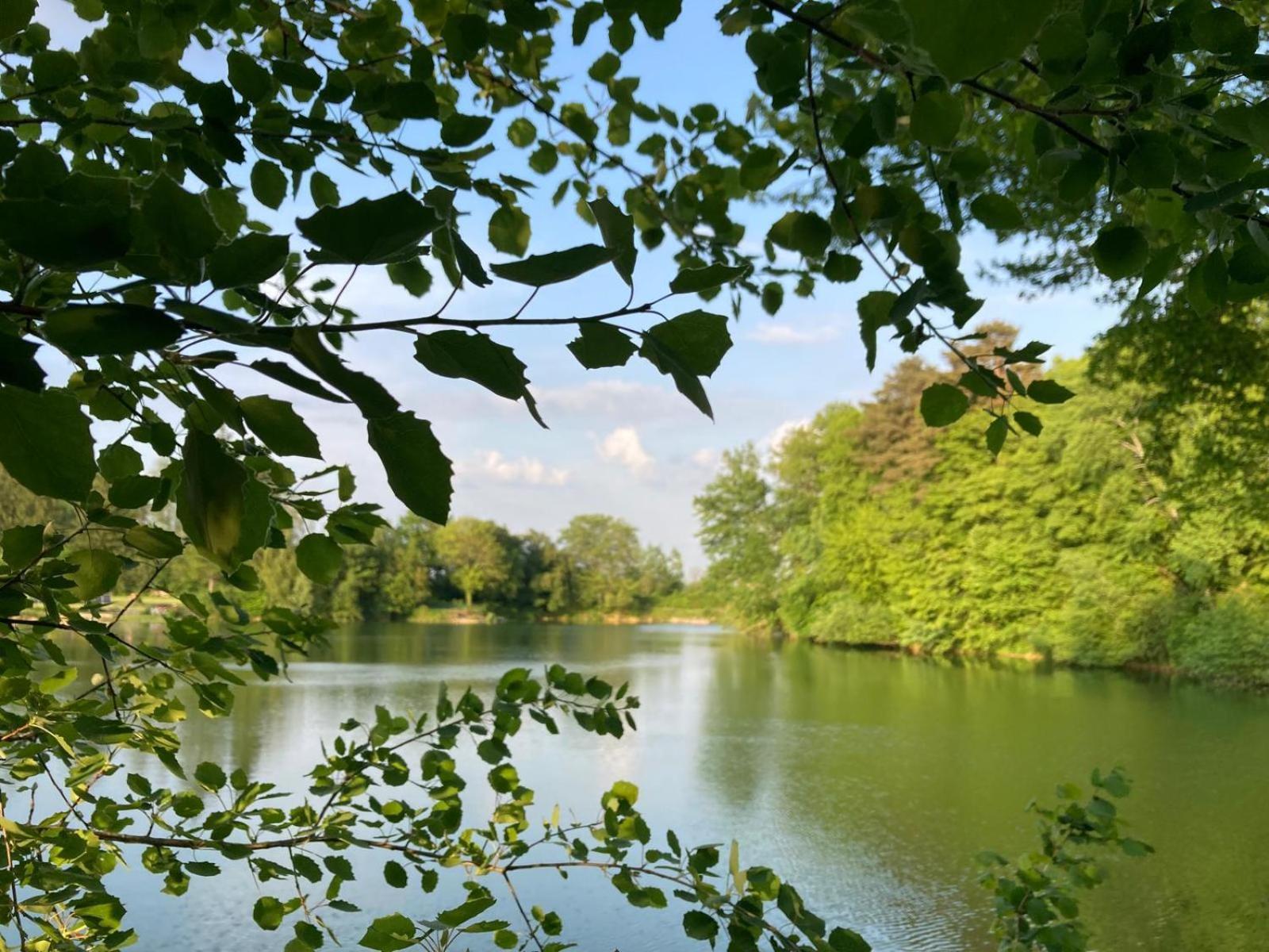 Lac De Lumiere. Relax With Rural Lakeside Living Herry Luaran gambar